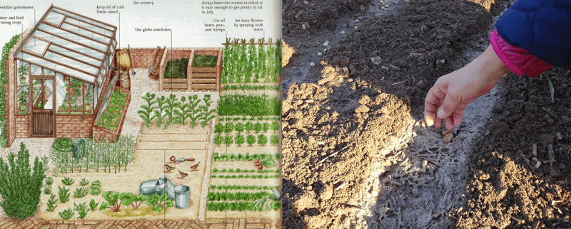 You are currently viewing Profiter de son potager en hiver