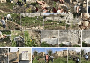 Lire la suite à propos de l’article Retour en images sur le rendez-vous des jardins du 28/02/2021