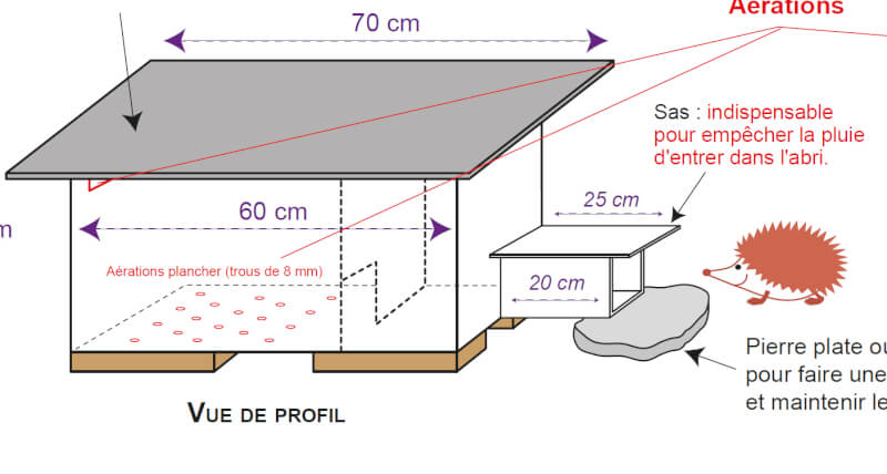 You are currently viewing Rendez-vous des jardins du dimanche 21 novembre