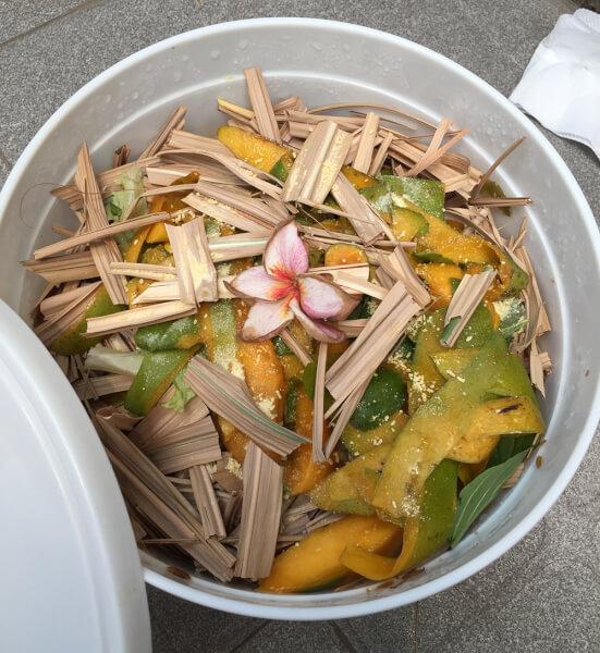 Lire la suite à propos de l’article Rendez-vous des jardins du dimanche 10 avril