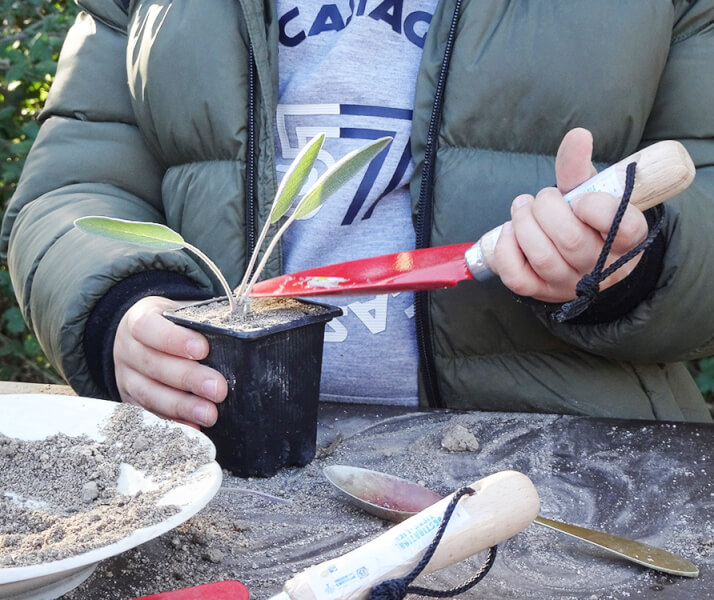 Lire la suite à propos de l’article Rendez-vous des jardins du dimanche 12 mars