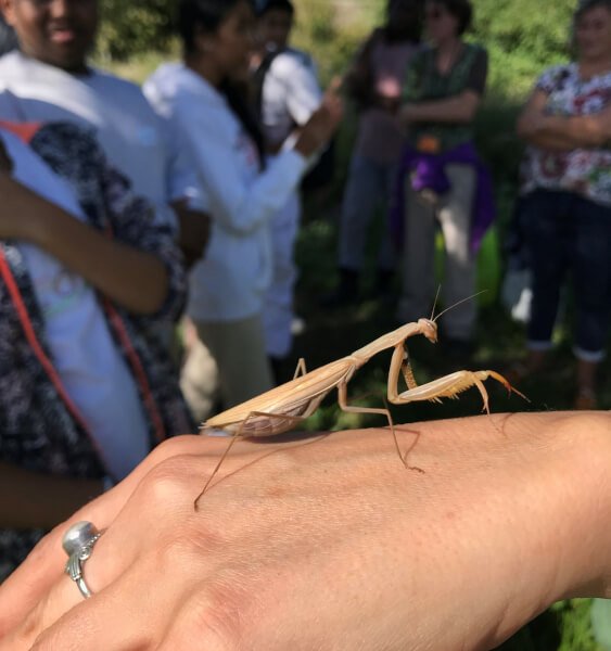 You are currently viewing Apprendre à protéger ensemble la biodiversité