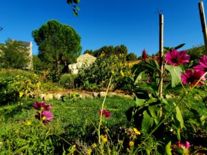 Lire la suite à propos de l’article Accueil d&rsquo;activités dans les jardins de la Verrerie