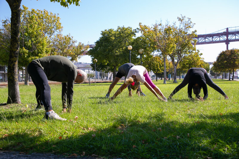 You are currently viewing Rendez-vous des jardins du dimanche 28 janvier