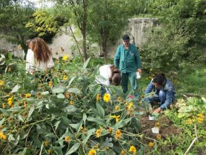 Lire la suite à propos de l’article Rendez-vous des jardins du dimanche 24 mars