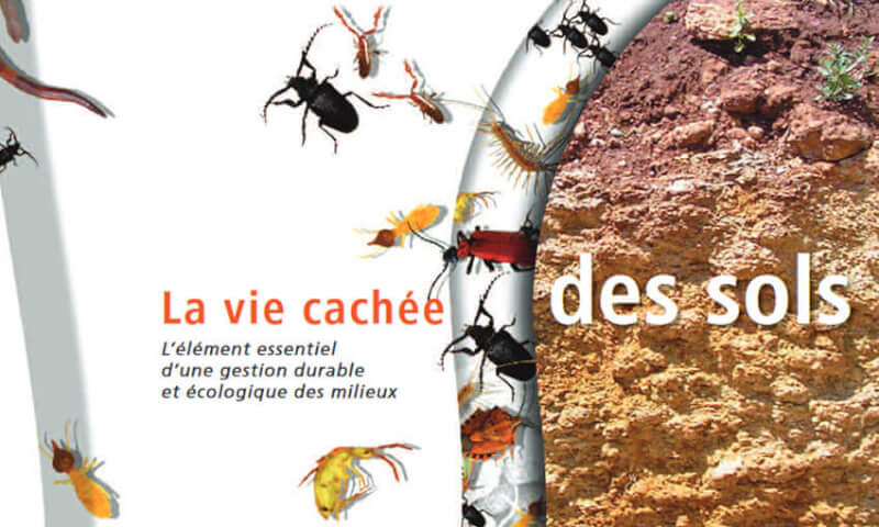 vie-cachee-des-sols vie-cachee-des-sols