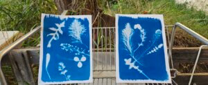 Lire la suite à propos de l’article Rendez-vous des jardins du mercredi 16 novembre