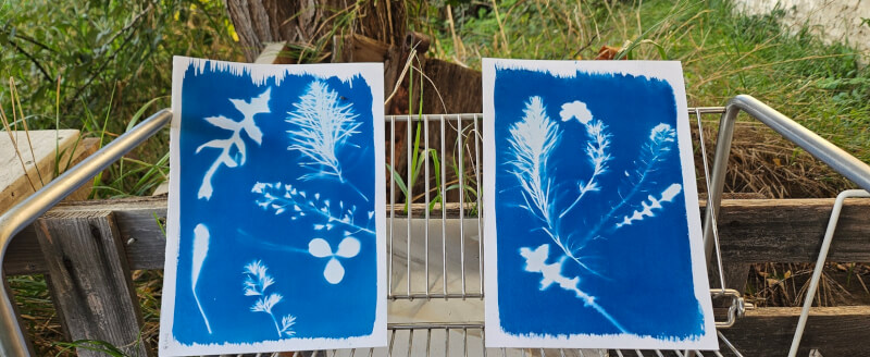 You are currently viewing Rendez-vous des jardins du mercredi 16 novembre