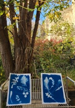 20251117193704-620a1068-xl