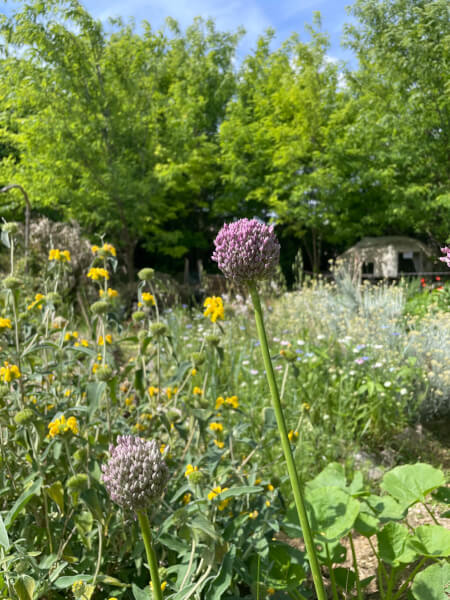 Lire la suite à propos de l’article Rendez-vous des jardins du dimanche 24 mai